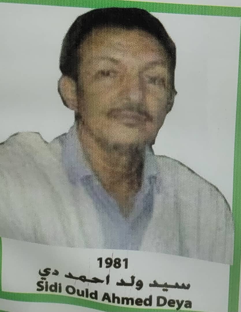 1981